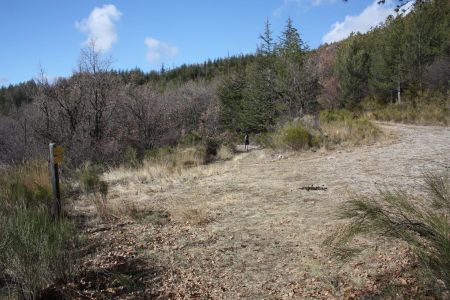 4h00 Prendre la piste de gauche