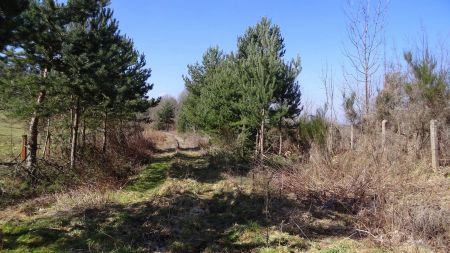 Hameau du Buisson.