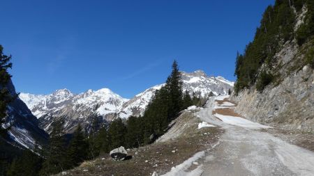 Sur la piste vers le Mont Bochor