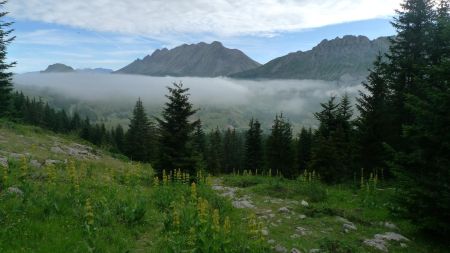 Brume éphémère.