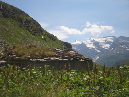 Dans le Vallon de la Lenta.