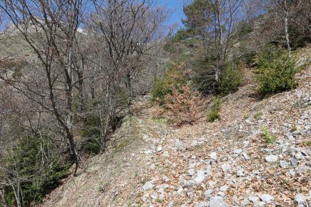 Sentier du ravin de Lachaup.