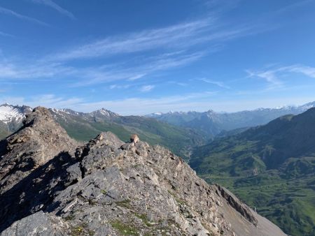 Pointe de Pierre Fendue, sommet 2662m de Roche Olvéra, Roche du Bonhomme, Grande Chible, Grand Pic de la Lauzière, Bellachat, Cheval Noir, Pointe du Vallon, Grand Perron des Encombres, Grand Mont, la Gratte, Pointe de la Masse, Roche Jaille, Mont Blanc derrière le Mont du Chat