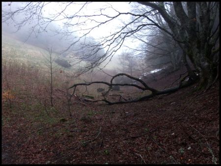 Première vue sur la Combe de Rocher de la Fenêtre.