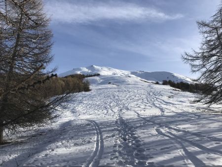 Il faut aller tout là haut !