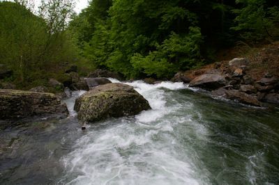 L’Ars bouillonnant