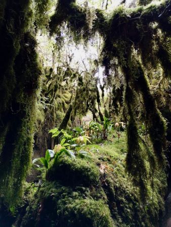 Une dernière de la jungle pour finir !