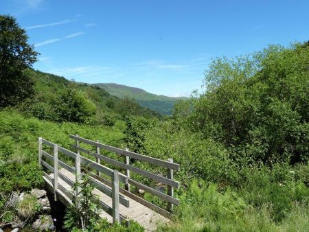 La passerelle.