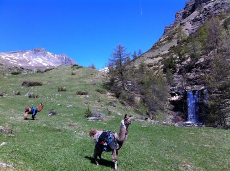 Entrée dans le parc des Écrins