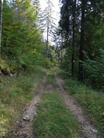 Forêt domaniale du Cimeteret