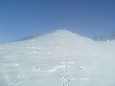 La base de la Crête des Rasses