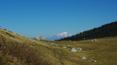 Vue sur le Mont Blanc