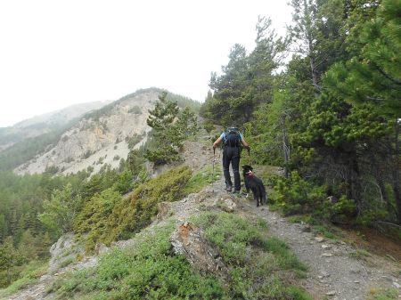 Au début au niveau d’un bois en bordure de ravin.