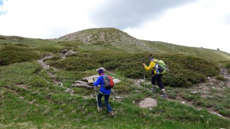 Montée au travers des massifs de rhododendrons