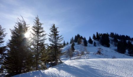 Direction la crête des 3 Mollards