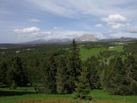 Vue d’ensemble des hauts plateaux