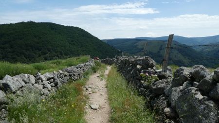 Descente sur Le Pont de Monvert 