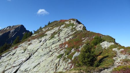 Arête de Roche Plane , le sommet