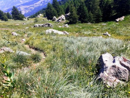 Sentier parallèle au GR avec un ancien balisage PR