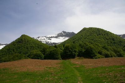 Le Plateau sous le Souliou