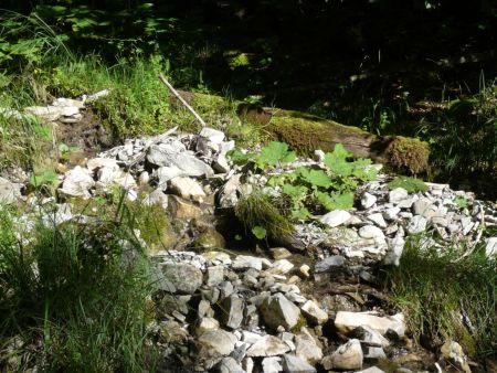 Traversée de ruisseau.