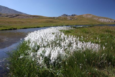 Lac de Néal 