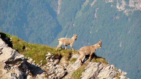 Rencontre avec des éterlous