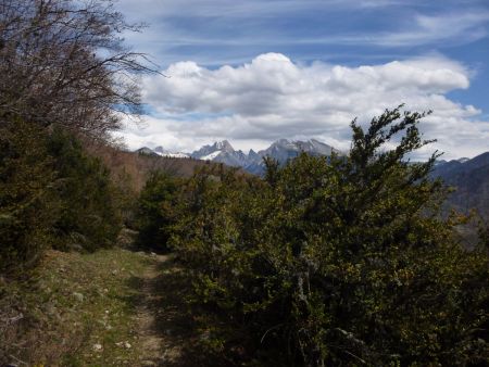 Chemin vers les ruines de Toussièrette.