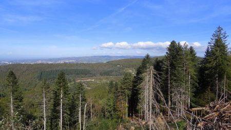 Vers les monts du Lyonnais.