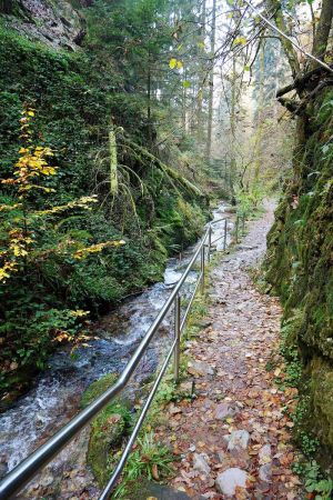 Sentier des cascades.