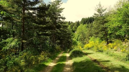 Sous le chemin, la conduite forcée des eaux du Lignon.