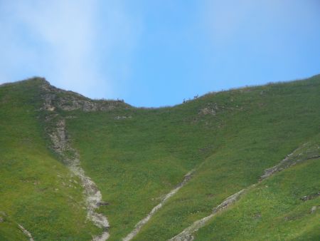 La crête du col Floray et ses bouquetins depuis le replat de la Salle