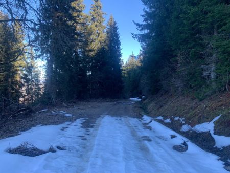 Long retour par la piste forestière