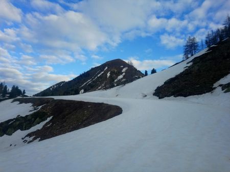 Montée le long de la route du Col de la Lombarde