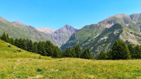 Dans les bas de l’alpage de la Gardette, presque en lisière de forêt