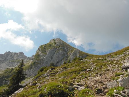 Montée vers le sommet