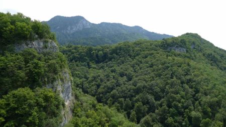 La toute proche forêt.