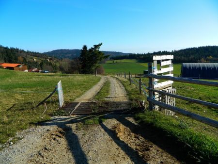 De la Croix des Loges, on va prendre ce chemin, qui passe près d’une étable. Il faudra ensuite, prendre le chemin bien visible, dans la prairie.