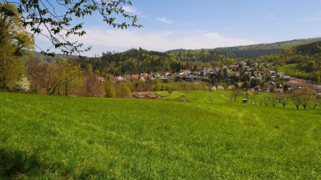 En lisière de forêt, vue sur Geroldsau.