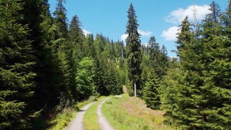 Chemin entre la Melkenhütte et la Schwarzwaldhochstraße.