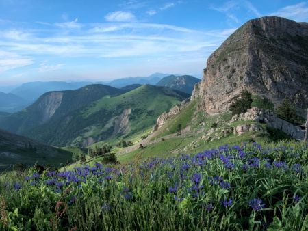 Col de Plate Contier