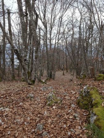 Mont Baret (sentier en direction du sud)