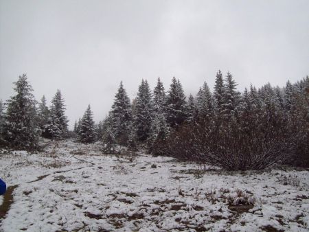 la sortie de la forêt