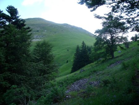 La Tête de Querellaire en sortant de la forêt.