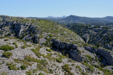 Plateau des Mussuguières