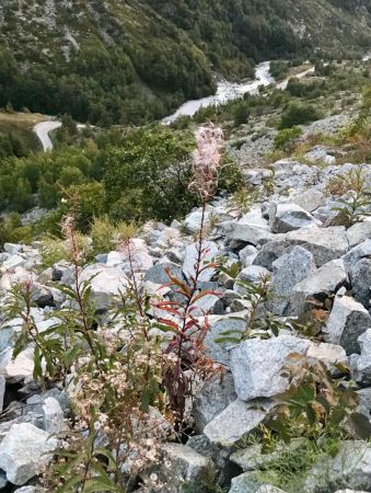 Descente par le Ruisseau d’En Haut