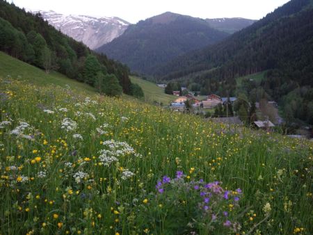 Retour dans la vallée.