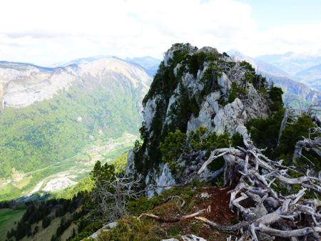 La Dent du Cruet, vue de son antécime.