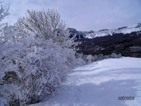 Paysage d’hiver