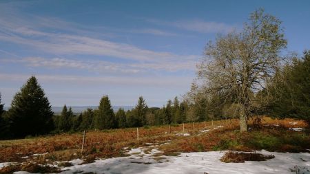 Vers les monts du Forez.